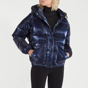 RARE Shiny blue puffer